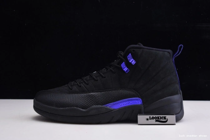 Rep LUCY Retro 12 CT8013 'Dark Jordan 005 Air Concord' 0722